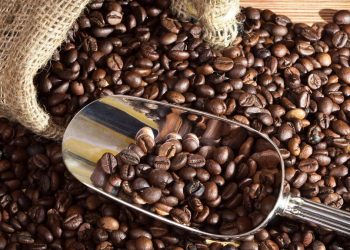 MenkopUKM: Kopi Jadi Komoditas Penggerak Koperasi dan UMKM Lokal Nusantara