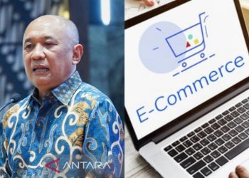 Pengaturan Perdagangan Elektronik Mampu Lindungi Ekonomi Domestik
