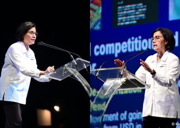 Menkeu Sampaikan Upaya Pemerintah Atasi Perubahan Iklim