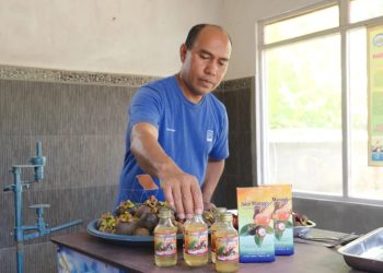 APBN: Dorong Pembangunan Desa dengan Dana Desa