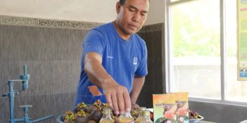 APBN: Dorong Pembangunan Desa dengan Dana Desa