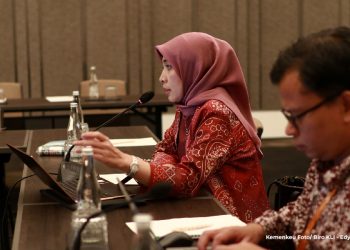 RUU P2SK: Langkah Reformasi Sektor Keuangan