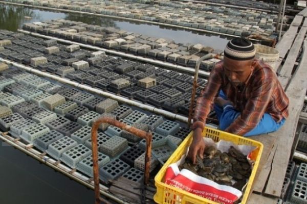BNI Salurkan Rp 9,8 Triliun di Sektor Kemaritiman