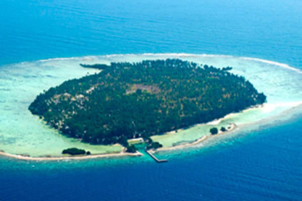 Eksotisme di Laut Jawa