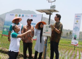 Jelang Pertanian 4.0, BNI Ajak Petani Terapkan Smartfarming