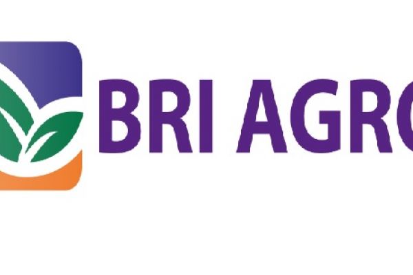 Lima Investor Strategis Antre Right Issue BRI Agro