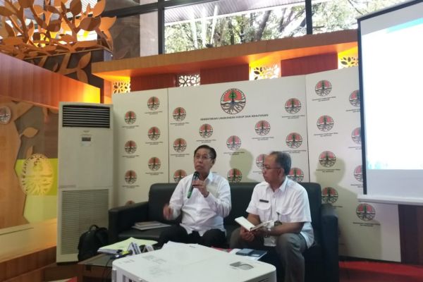 KLHK Klarifikasi Soal Kerusakan Lingkungan Akibat Freeport