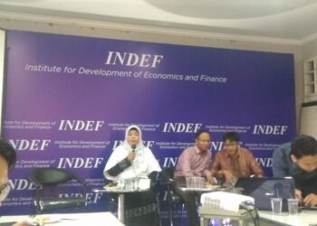 INDEF Pertanyakan Efektivitas Subsidi Input