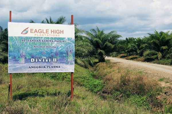 Dikepung Sentimen Negatif, BWPT Optimistis Harga CPO Bakal Kembali Moncer