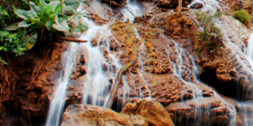 Pesona Alam Nusa Cendana