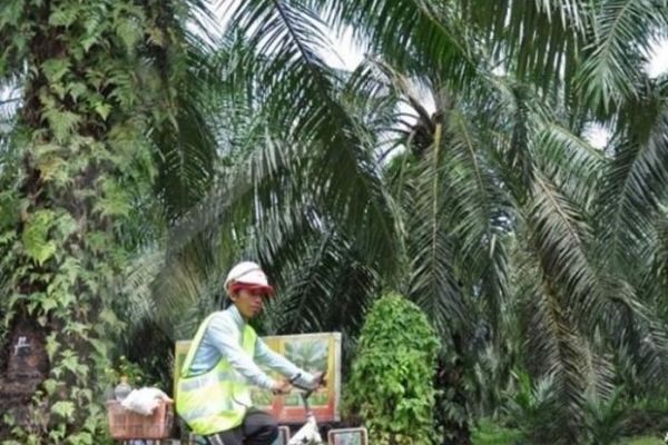 PTPN V Kembalikan Lahan kepada Negara