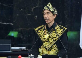 Pemerintah Upayakan Perluasan Basis Pajak dan Optimalisasi PNBP pada Tahun 2021