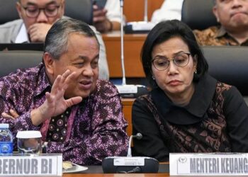 Menkeu: Skema Berbagi Beban Tidak Berlanjut di 2021