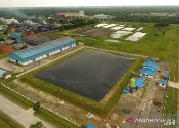 PTPN III & Pertamina NRE Sepakati Komersialisasi Kredit Karbon Guna Tekan Emisi