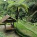Menilik Desa Wisata Taro, Surga Tersembunyi di Gianyar Pemenang BCA Desa Wisata Award