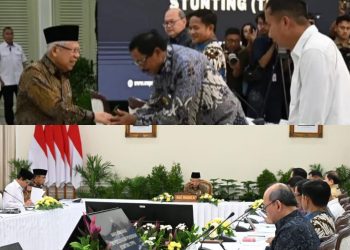 Wapres Ma’ruf Amin Dorong Optimalisasi Program Percepatan Penurunan Stunting