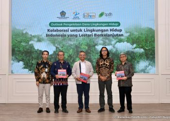 Wamenkeu Suahasil: Pengelolaan Dana Lingkungan Hidup Harus Dijangkau Internasional