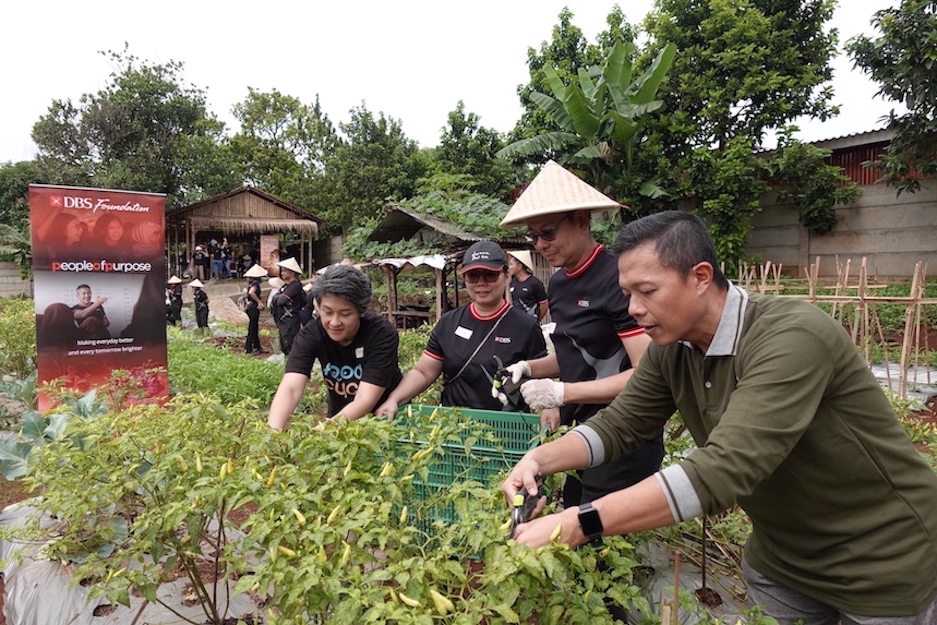 Bank DBS Indonesia Gerakkan Urban Farming untuk Dukung Ketahanan Pangan dan Komunitas Rentan