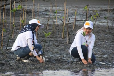 Dari Ekosistem ke Ekonomi, BNI Bangun Masa Depan Lewat Hutan Mangrove