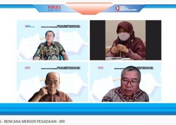 Menguji Konsep Holding Ultra Mikro