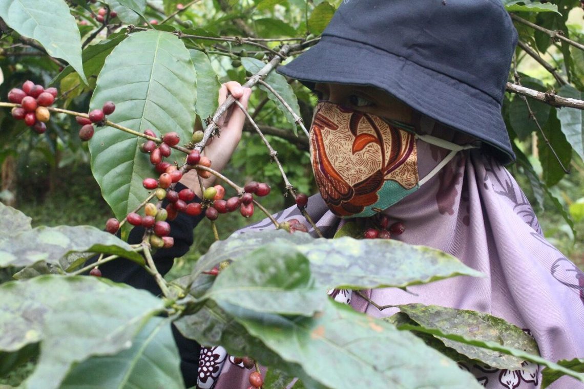 Strategi Jitu LPEI Bantu UKM Naik Kelas dan Mendunia