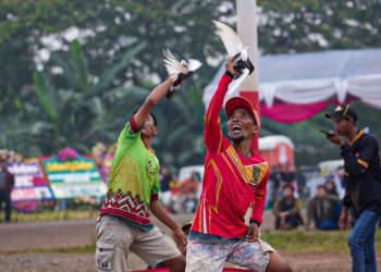 Menteri Teten Ungkap Perputaran Ekonomi dari Hobi Burung Merpati Kolong