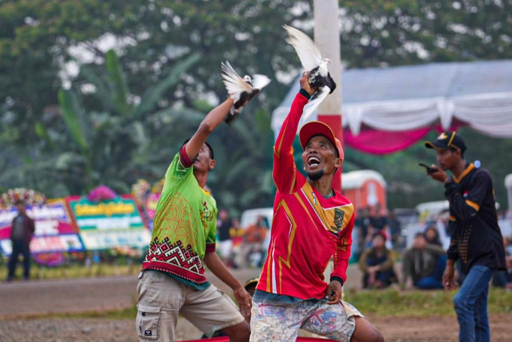 Menteri Teten Ungkap Perputaran Ekonomi dari Hobi Burung Merpati Kolong