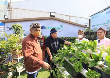 “BRI Menanam” Targetkan Tanam 1,75 Juta Bibit Pohon Produktif Hingga 2023