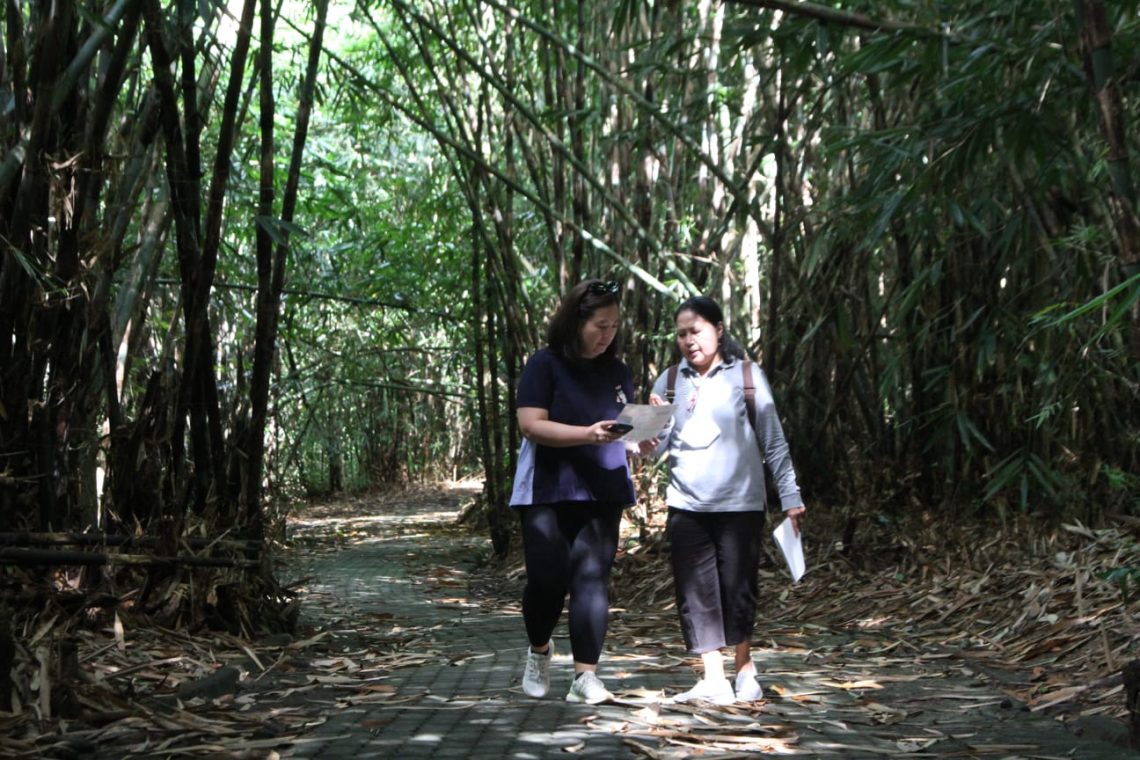 Dukungan Berkelanjutan CIMB Niaga Lestarikan Bambu