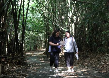 Dukungan Berkelanjutan CIMB Niaga Lestarikan Bambu