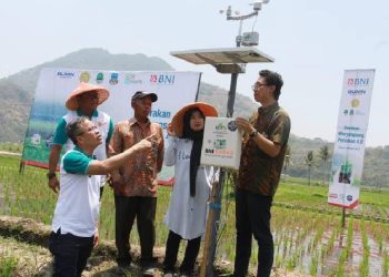 BNI Dukung Ketahanan Pangan Nasional Melalui Smartfarming