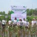 AAJI Tanam 2000 Bibit Mangrove dan Berikan Literasi Keuangan Pada Kelompok Nelayan