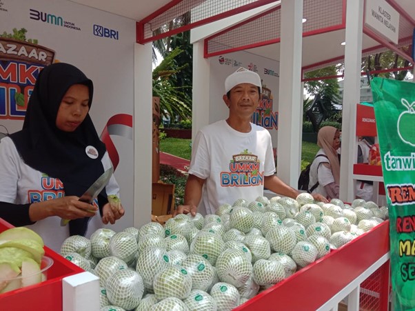 KUR BRI Dukung Kemajuan Klaster Jambu Kristal di Purworejo