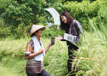 Salurkan Rp147 Triliun, KUR BRI Bantu 3,2 Juta Pelaku UMKM Naik Kelas
