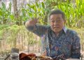 Pasar Properti On The Track, Penjualan Rumah Second Jadi Penopang Utama