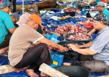 Idul Adha Penuh Haru: Ratusan Hewan Kurban Bank BSN Jangkau Pelosok, Warga Ucapkan Syukur Melimpah