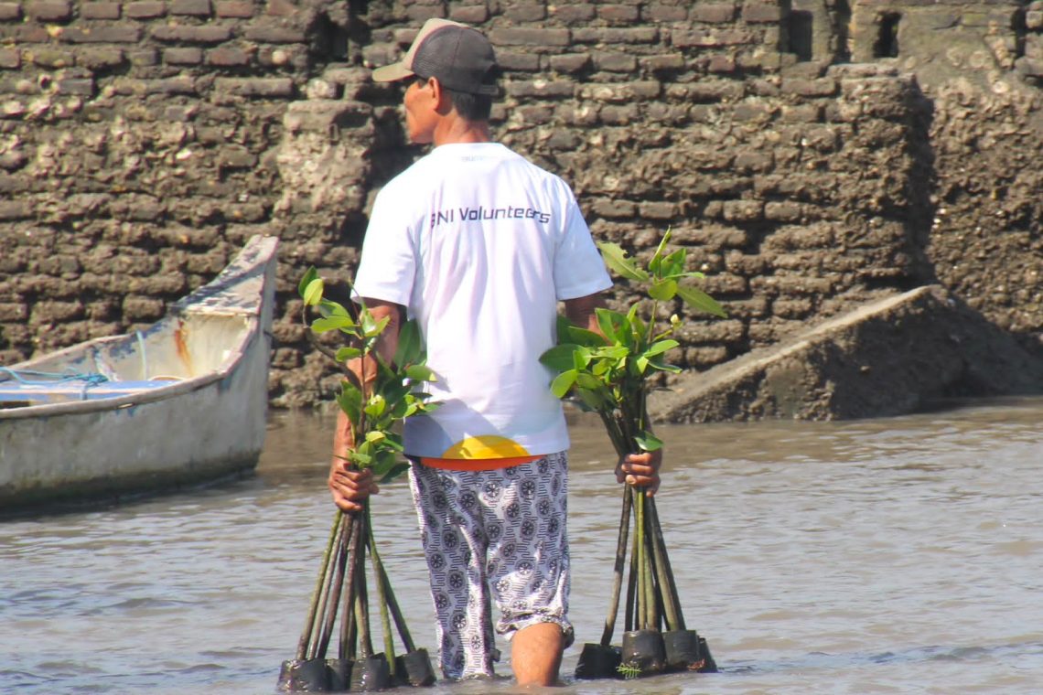Hari Mangrove Sedunia: BNI Perkuat Komitmen Pelestarian Lingkungan dan Ekonomi Pesisir
