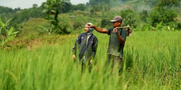 Berpredikat idAAA Pefindo, Inisiatif Obligasi Sosial BRI Ciptakan Puluhan Ribu Lapangan Kerja Baru