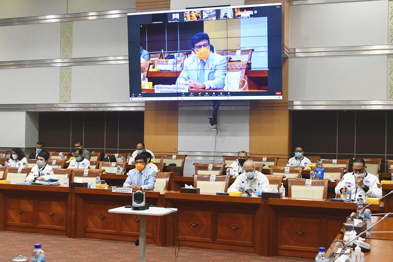 DPR Minta Kominfo Prioritaskan Pembangunan BTS di Daerah Perbatasan