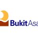 Bukit Asam (PTBA): Kembangkan Energi Biomassa dari Kaliandra Merah