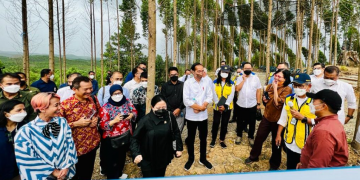 Presiden Jokowi Optimistis Pembangunan IKN Berjalan Lancar