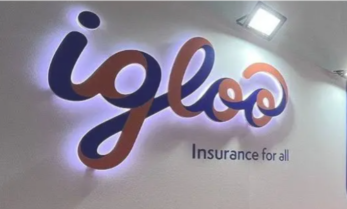 Igloo Perluas Solusi Asuransi Iklim di Asia Tenggara, Sasar Pasar Indonesia