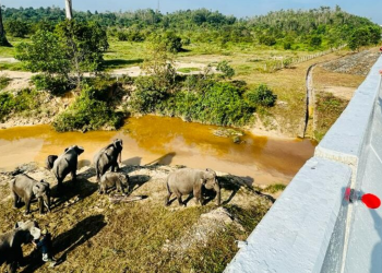 Presiden Tekankan Pembangunan Infrastruktur Harus Ramah Lingkungan