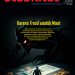 Stabilitas Edisi 208 : Karena FRAUD adalah MAUT
