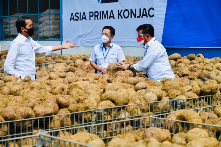 Kemenperin Pacu Daya Saing IKM Olahan Porang