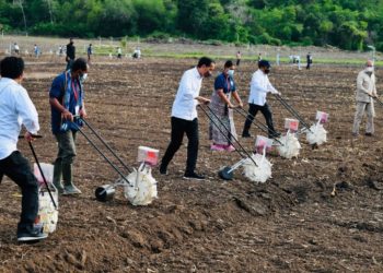 Presiden Dorong Pemanfaatan Teknologi Sistem Pertanian di NTT