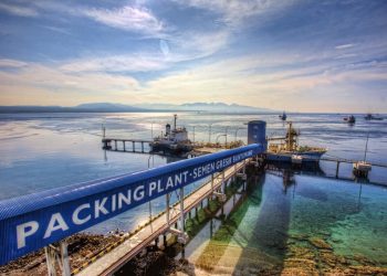 Laba Bersih SIG Periode Januari-September 2020 Tumbuh 19,1%