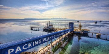 Laba Bersih SIG Periode Januari-September 2020 Tumbuh 19,1%