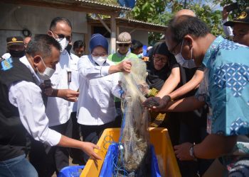 Dorong Pertumbuhan Ekspor Jawa Timur, LPEI Bangun Desa Devisa Kluster Udang