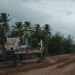 Istimewa! Kontraktor Tol Sigli-Banda Aceh Buat Perlintasan Khusus bagi Satwa Liar